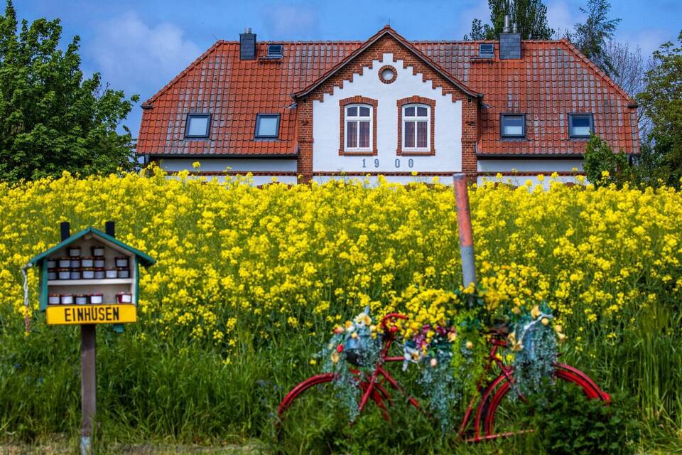 Ferienhaus an der Ostseeküste