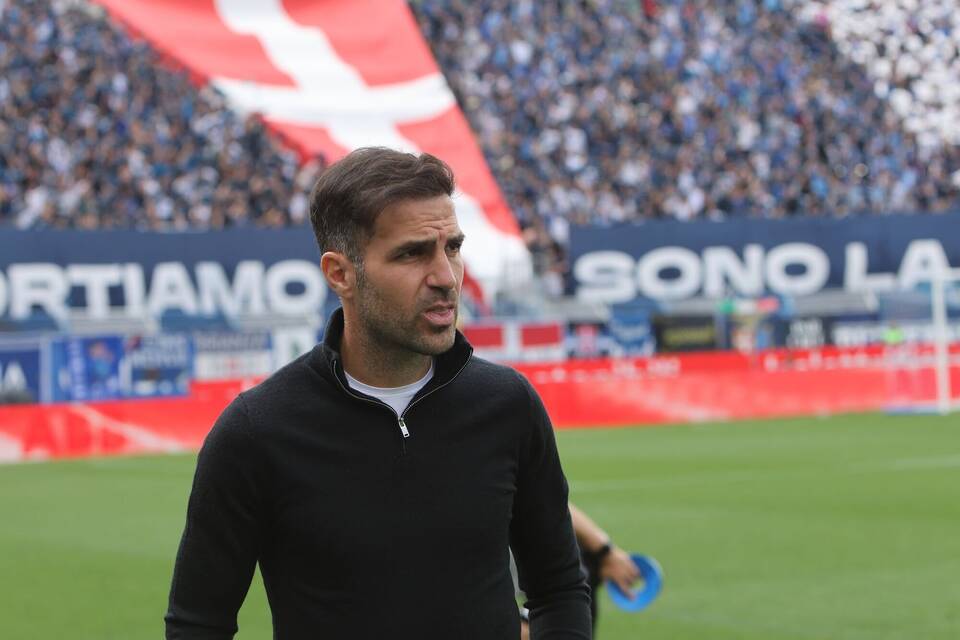 Trainer Fabregas Trainer Fabregas