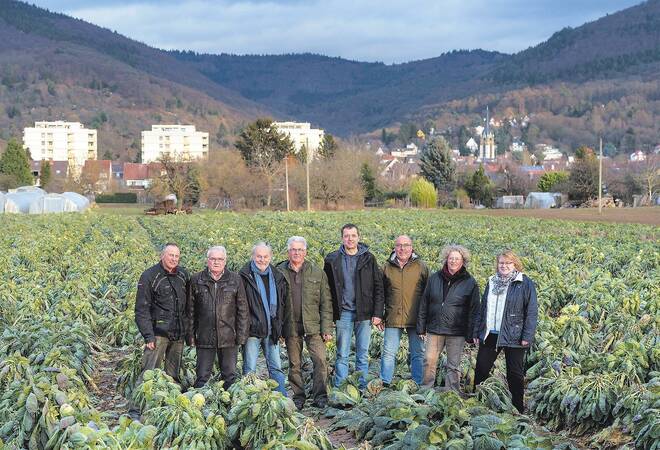 Wenn Gärtner wegen der Uni Heidelberg ihren Untergang fürchten