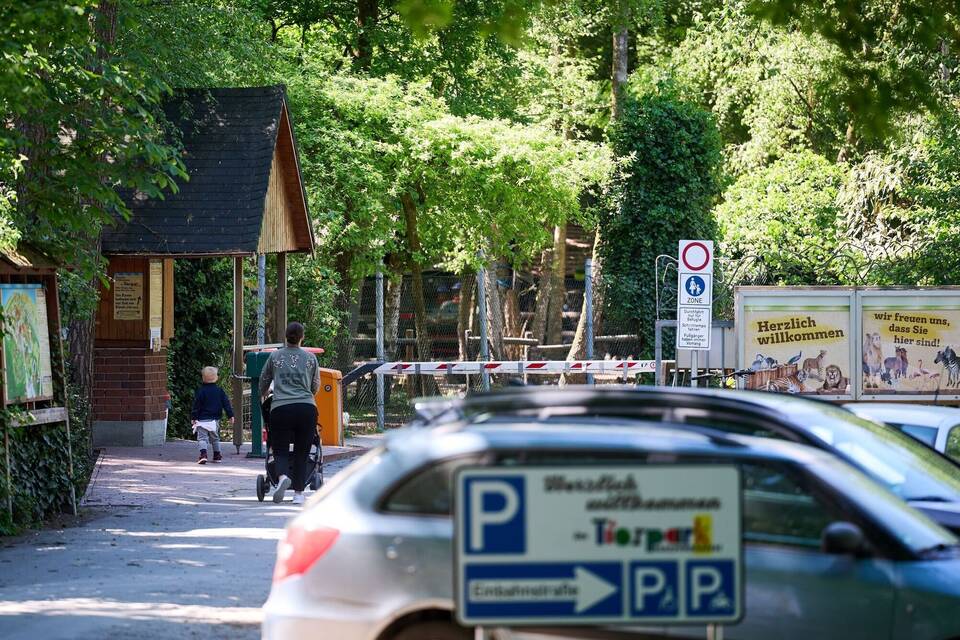 Tiger verletzt Mitarbeiterin in Tierpark Tiger verletzt Mitarbeiterin in Tierpark