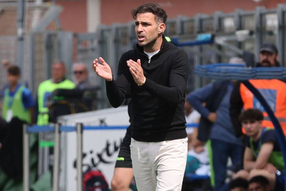 Trainer Fàbregas Trainer Fàbregas