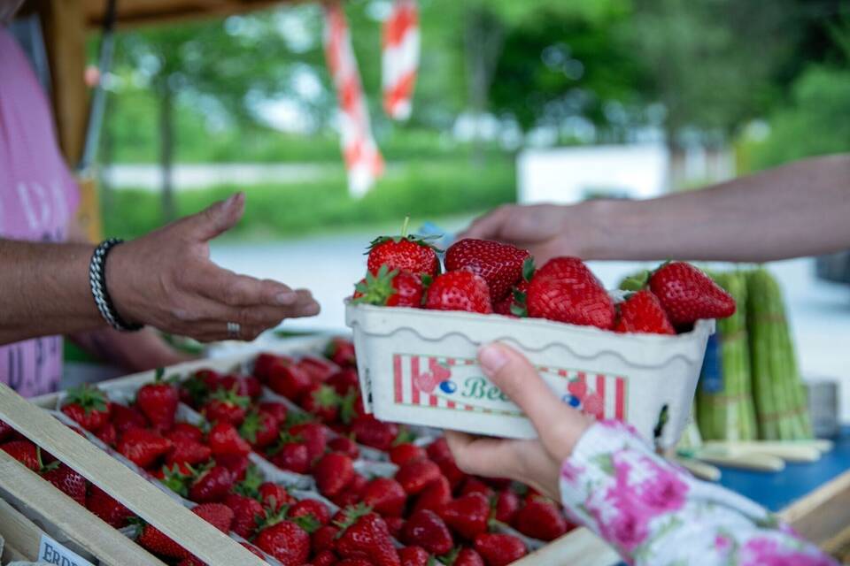 Umfrage zu Früchten und Beeren