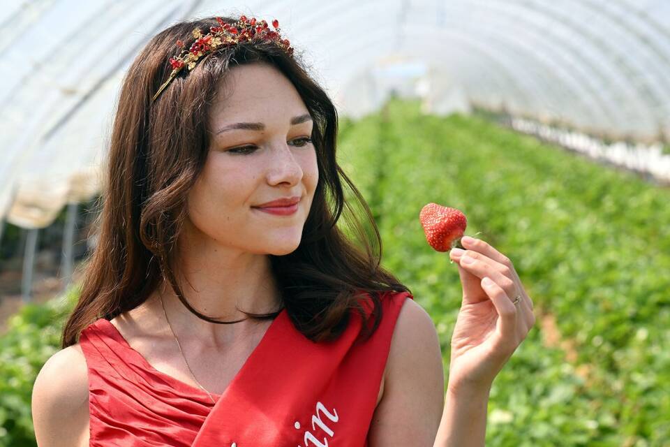 Umfrage zu Früchten und Beeren