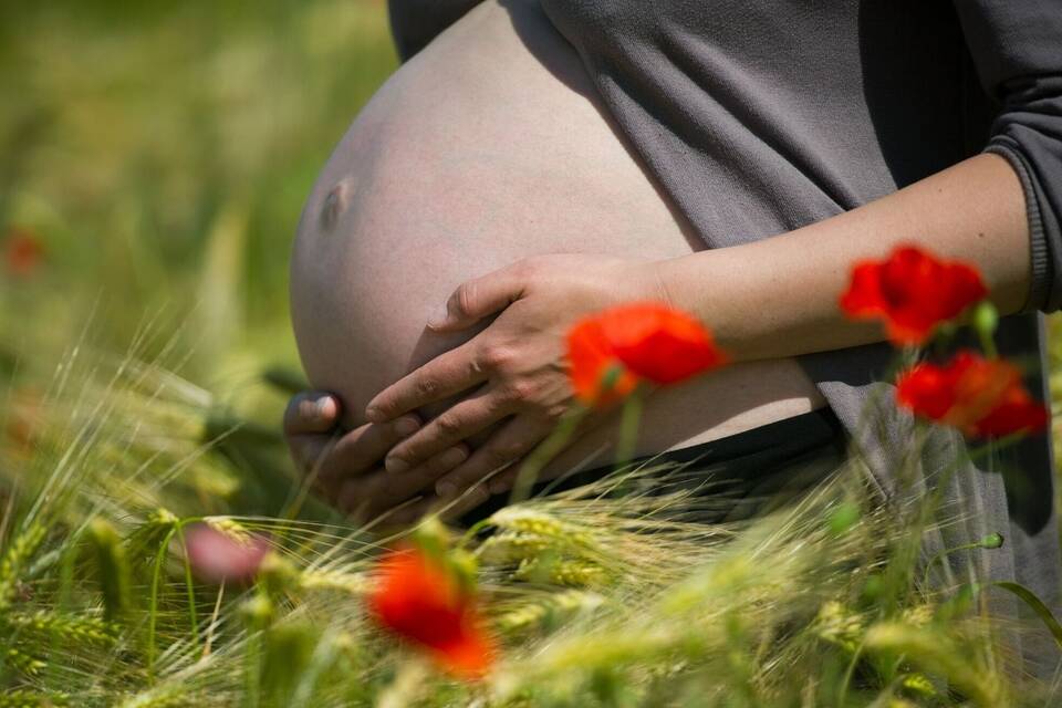 Schwangere Frau Schwangere Frau