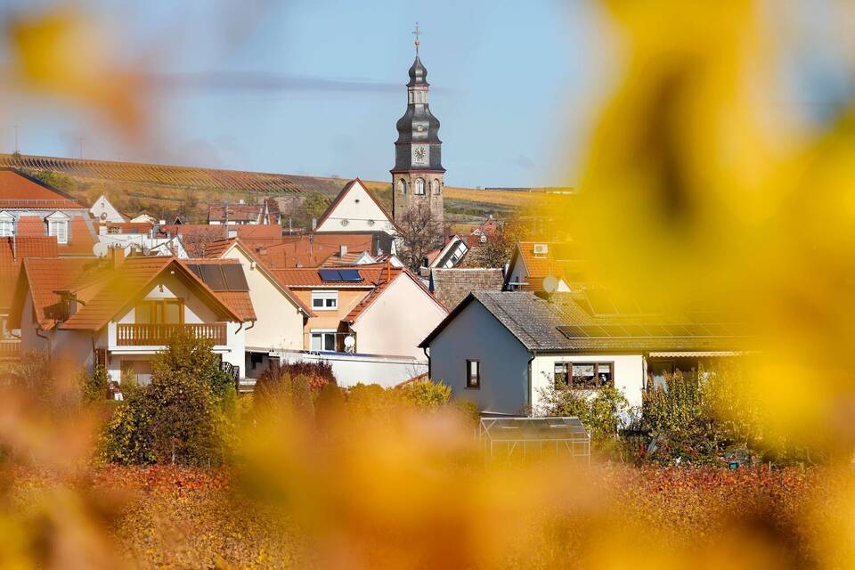 Trumps Vorfahren wanderten einst aus Kallstadt in die USA aus. Trumps Vorfahren wanderten einst aus Kallstadt in die USA aus.