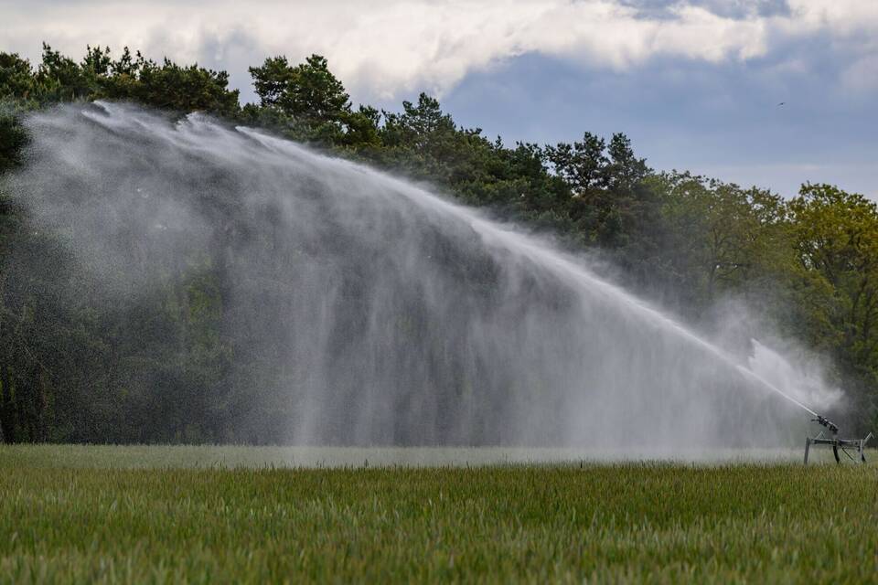 Trockenheit in der Landwirtschaft