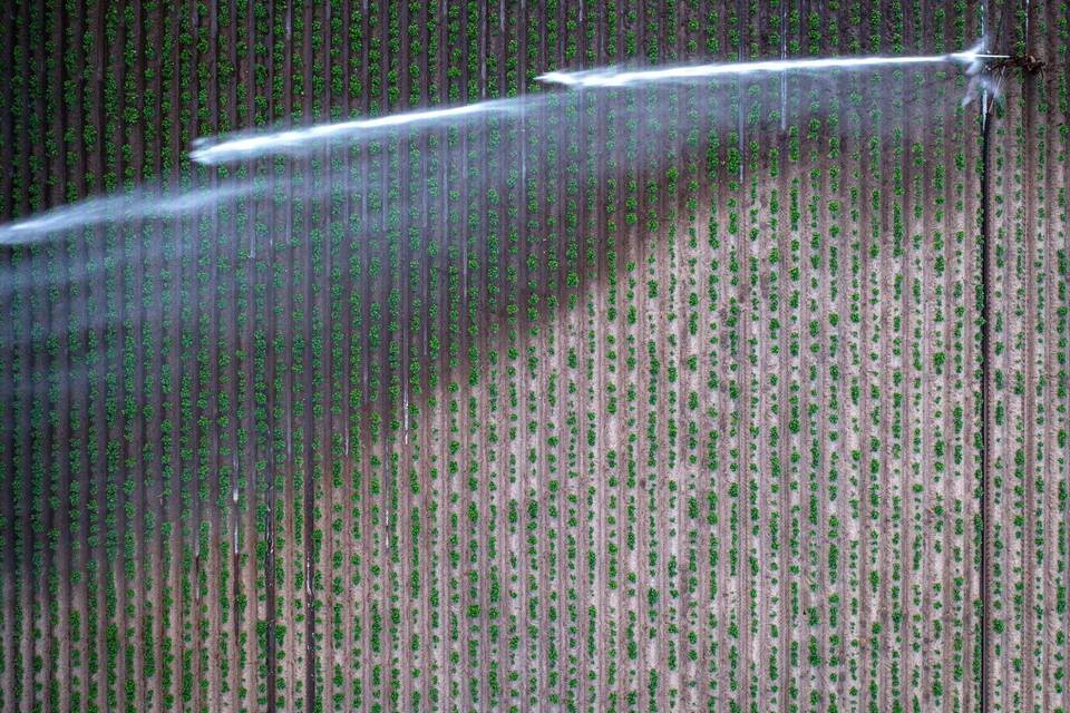 Trockenheit in der Landwirtschaft