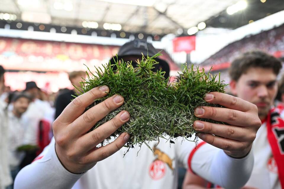 1. FC Köln - 1. FC Kaiserslautern 1. FC Köln - 1. FC Kaiserslautern