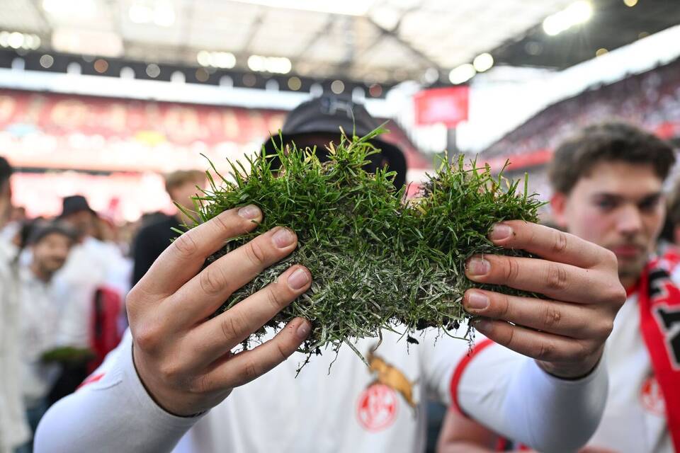 1. FC Köln - 1. FC Kaiserslautern 1. FC Köln - 1. FC Kaiserslautern