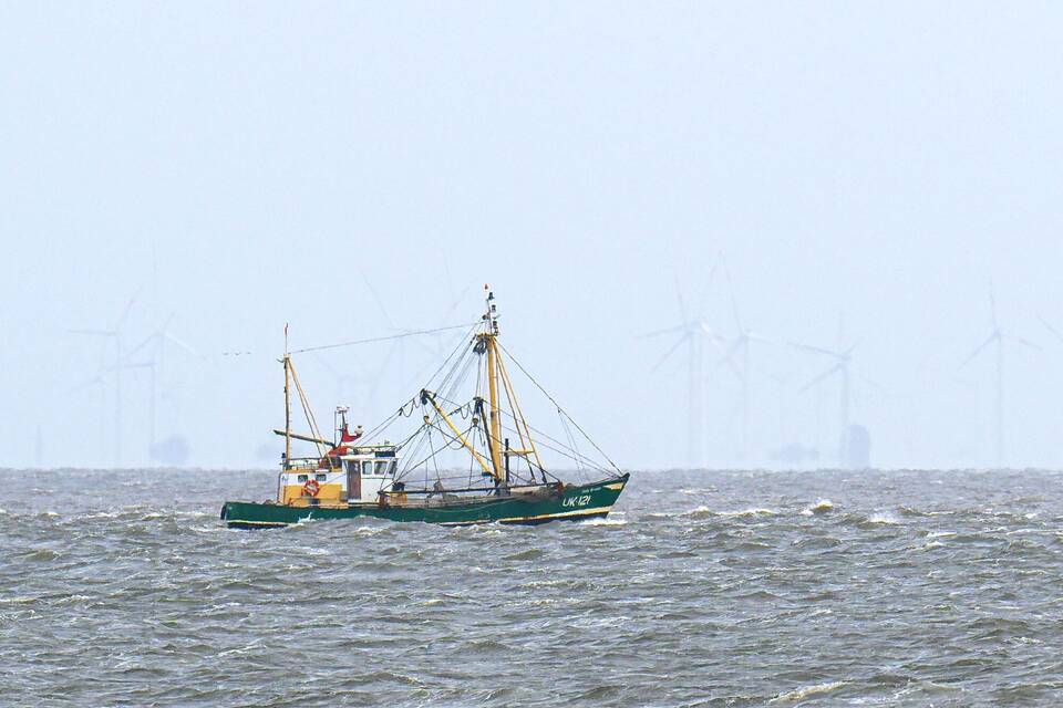 EU-Gericht urteilt über Fangverbote in der Nordsee EU-Gericht urteilt über Fangverbote in der Nordsee
