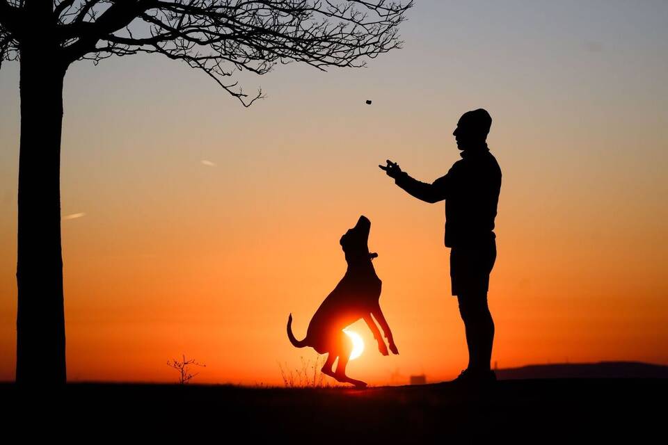 Sonnenaufgang in Hannover
