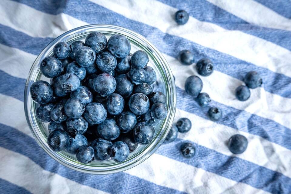 Heidelbeeren Heidelbeeren