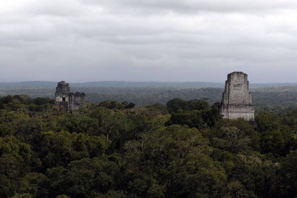 Fast 3.000 Jahre alte Maya-Stätte in Guatemala entdeckt Fast 3.000 Jahre alte Maya-Stätte in Guatemala entdeckt