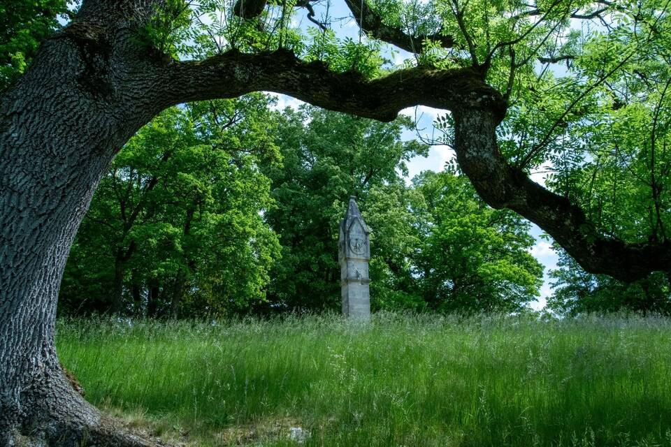 Klimaschäden in historischen Parkanlagen Klimaschäden in historischen Parkanlagen