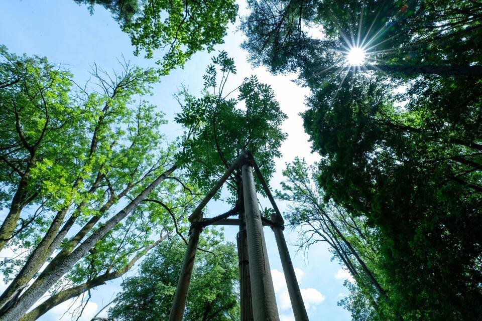 Klimaschäden in historischen Parkanlagen