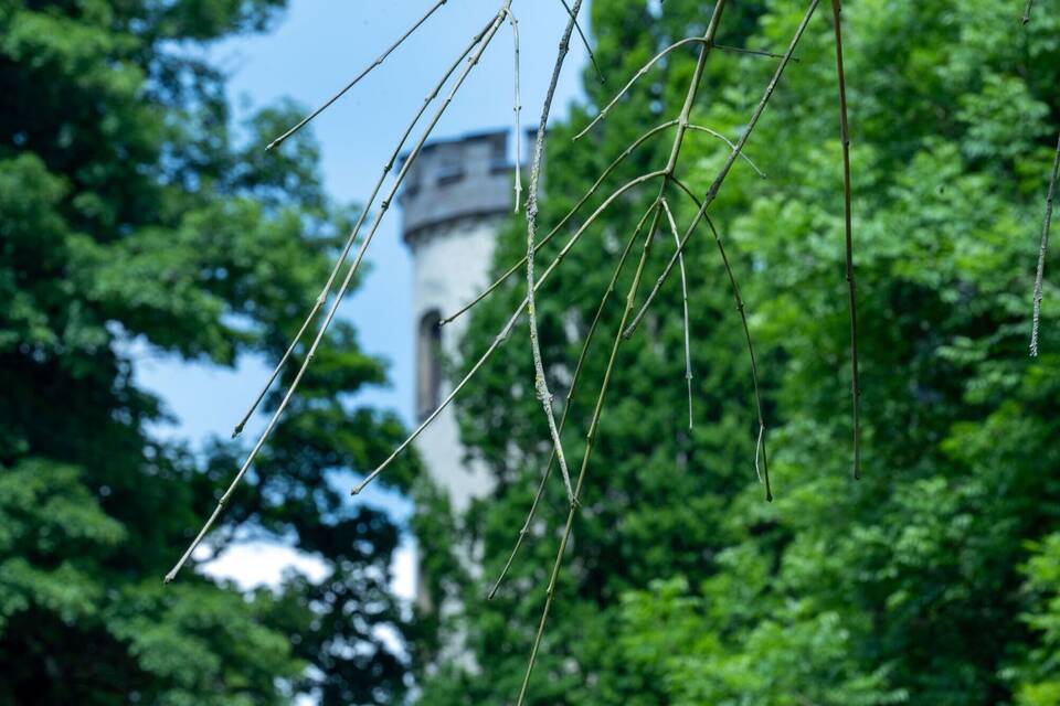 Klimaschäden in historischen Parkanlagen