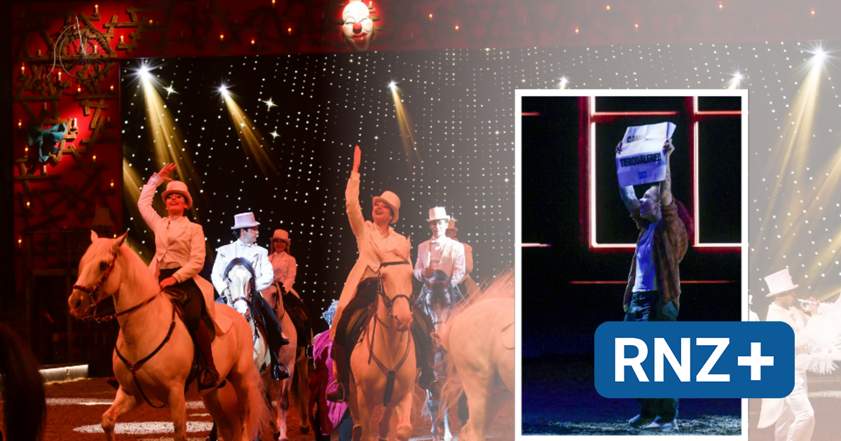 Peta-Tierrechtsaktivistin stürmt Manege bei Reitershow