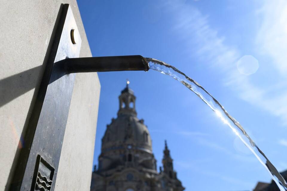 Sommer in Dresden