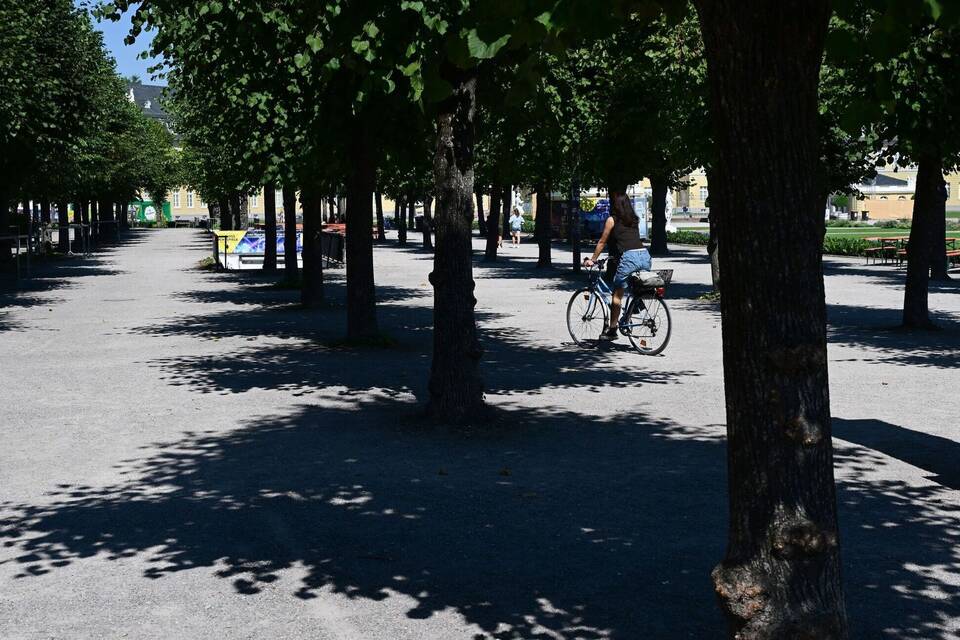 Sonne und Schatten  - Wetter in Karlsruhe