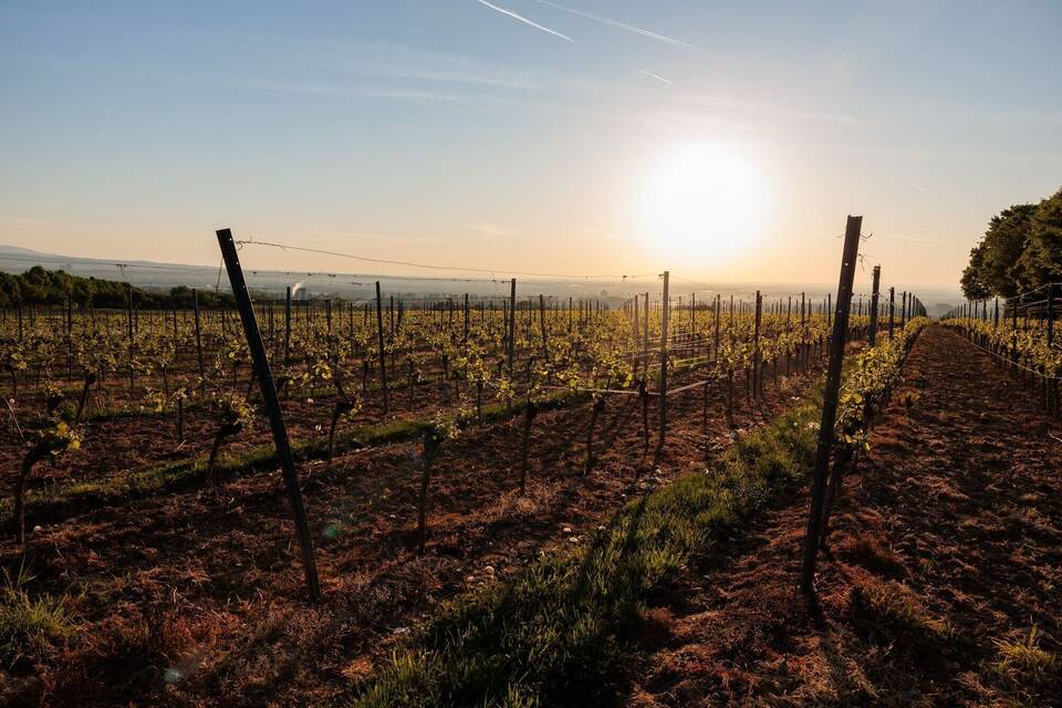 Sonne in Rheinland-Pfalz