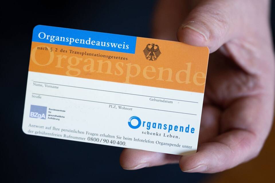 Eine Frau hält einen Organspendeausweis in ihren Händen Eine Frau hält einen Organspendeausweis in ihren Händen