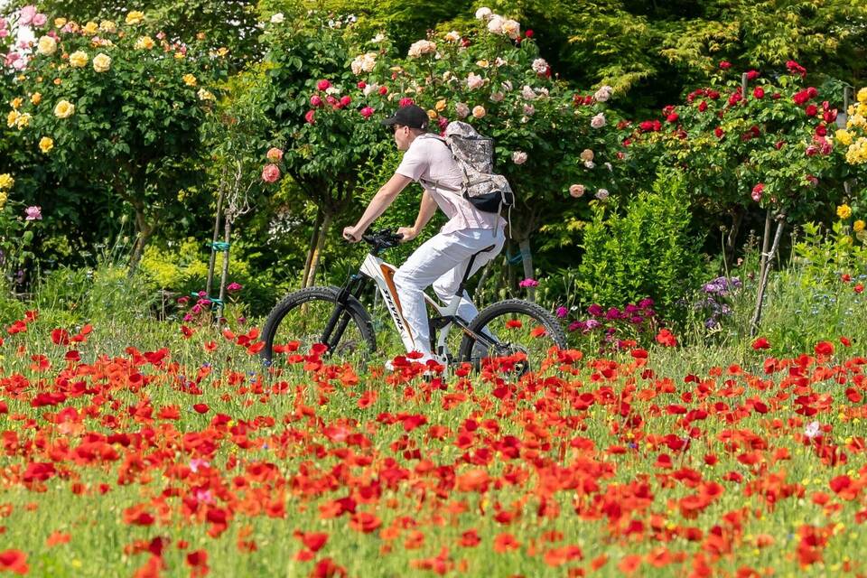 So wird das Wetter zum Start in die kurze Woche in Baden-Württem So wird das Wetter zum Start in die kurze Woche in Baden-Württem