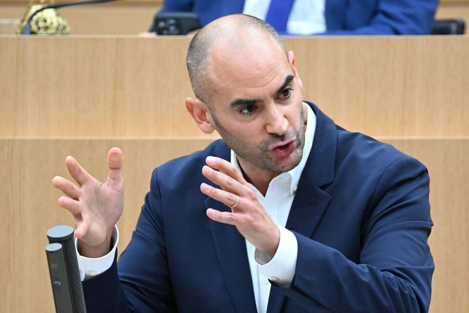 Danyal Bayaz (Bündnis 90/Die Grünen)