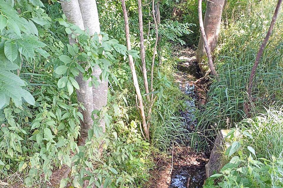 Wasserknappheit Wasserknappheit