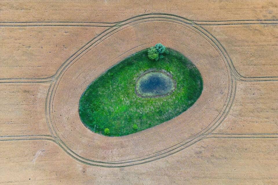 Grüne Insel im Getreidefeld Grüne Insel im Getreidefeld