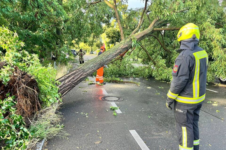Gewitter in Berlin und Brandenburg Gewitter in Berlin und Brandenburg