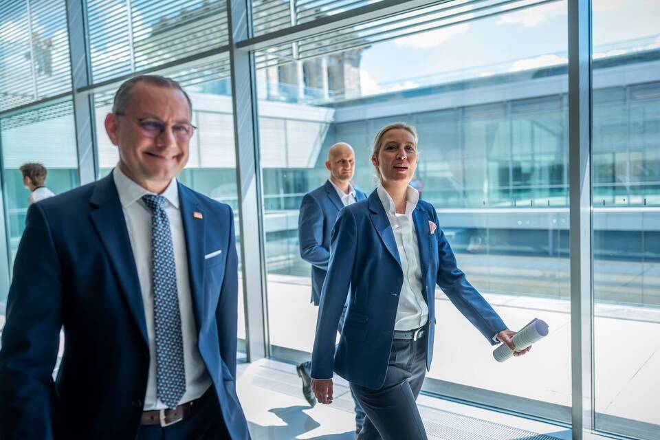 AfD-Chefs Tino Chrupalla (l.) und Alice Weidel (Archivbild)