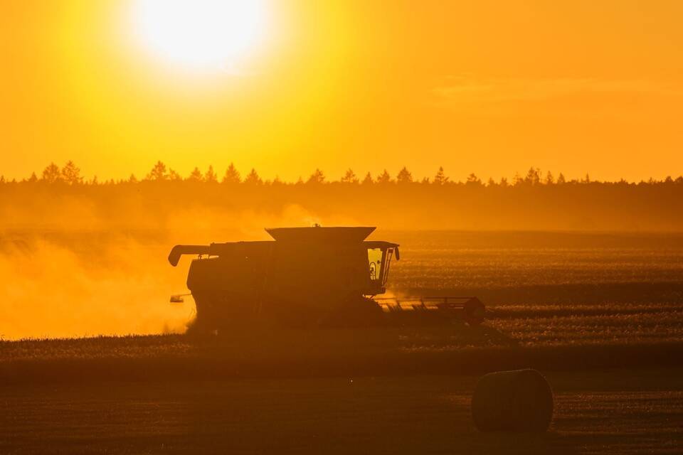 Getreideernte im Sonnenuntergang