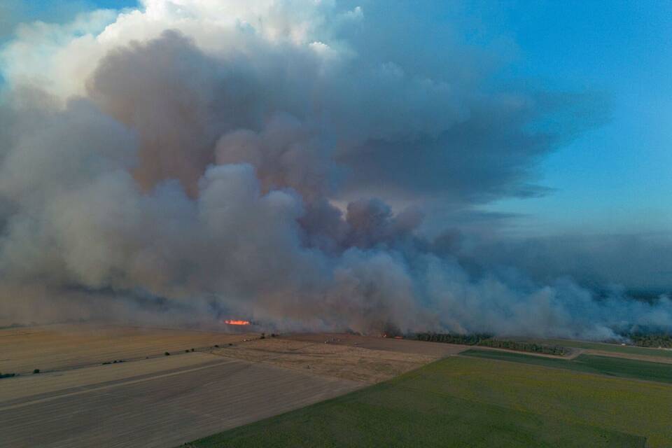 Waldbrand in der Gohrischheide Waldbrand in der Gohrischheide