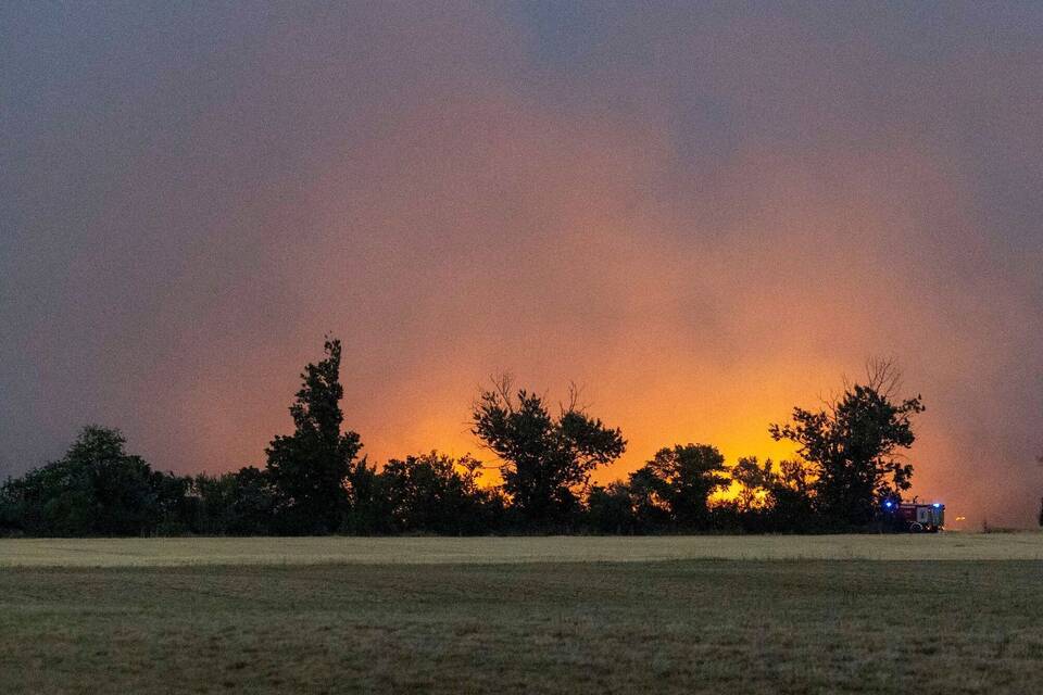 Waldbrand in der Gohrischheide Waldbrand in der Gohrischheide
