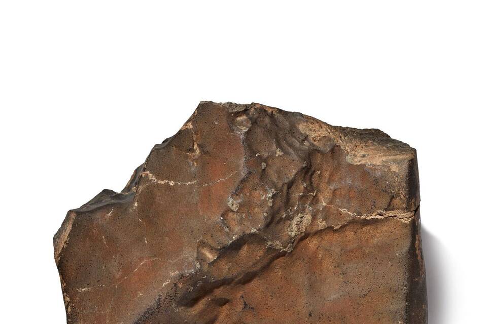 Ein Stück vom Mars soll versteigert werden