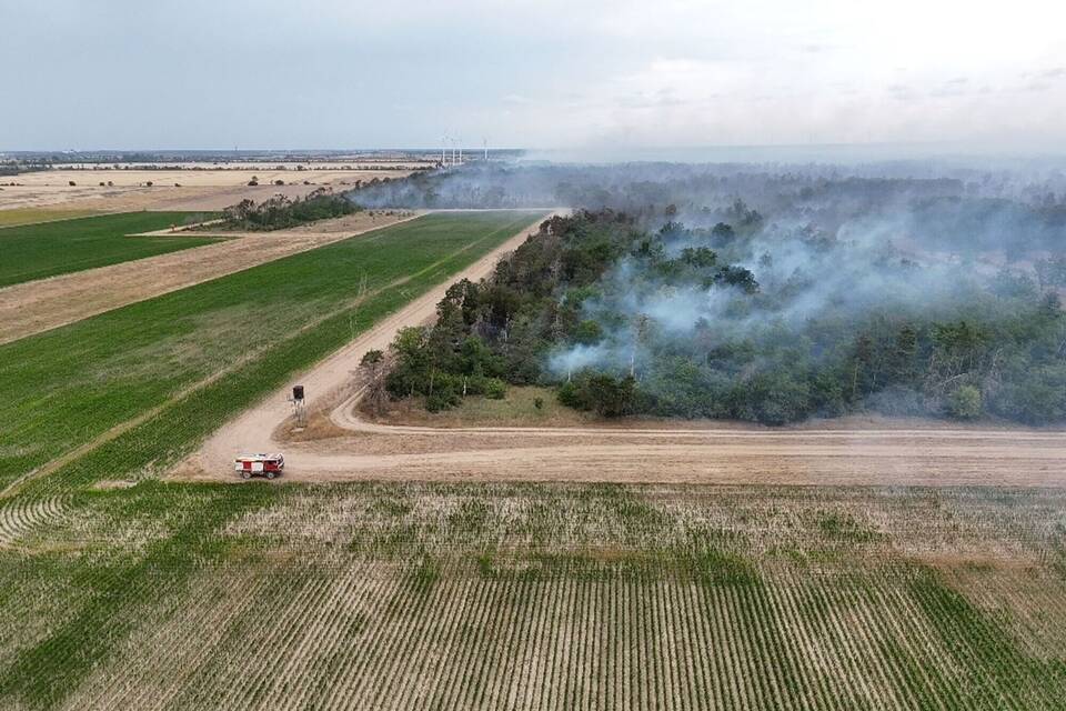 Waldbrand Gohrischheide Waldbrand Gohrischheide