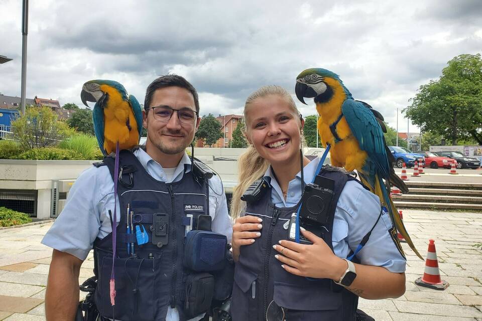 Polizisten als Papageien-Hüter