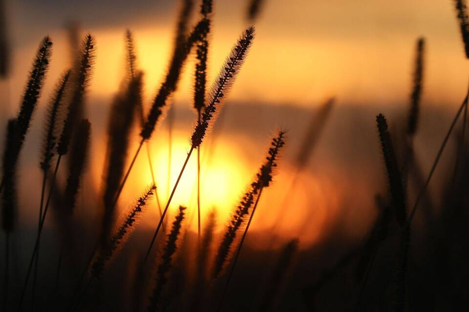 Sonnenaufgang