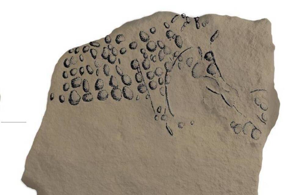 38000 Jahre altes Gravur-Mammut