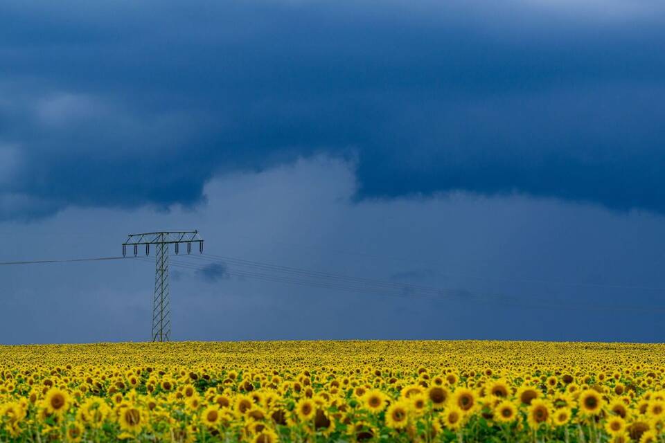 Wetter in Brandenburg