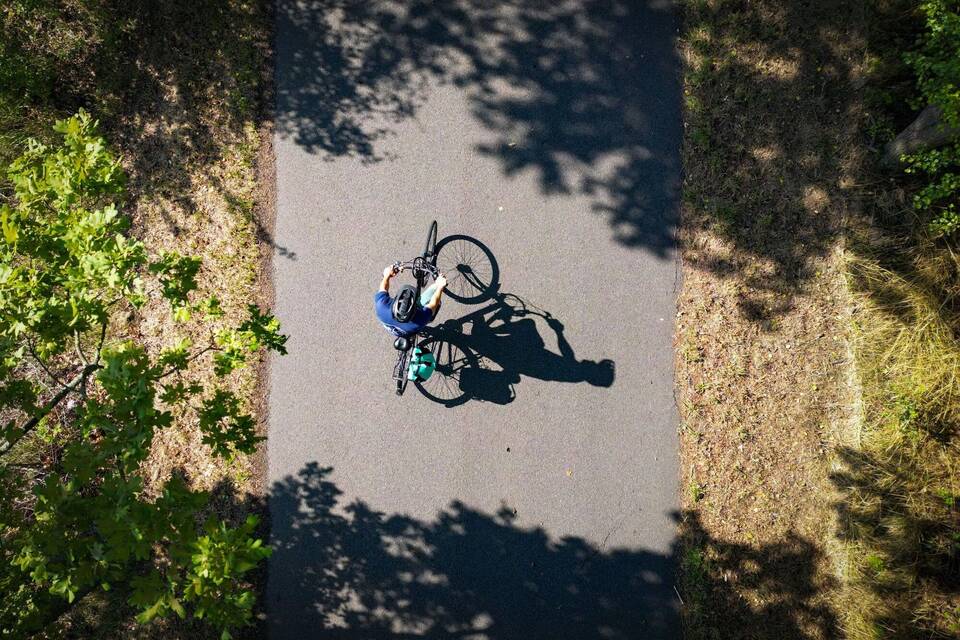 Radweg in der Lausitz