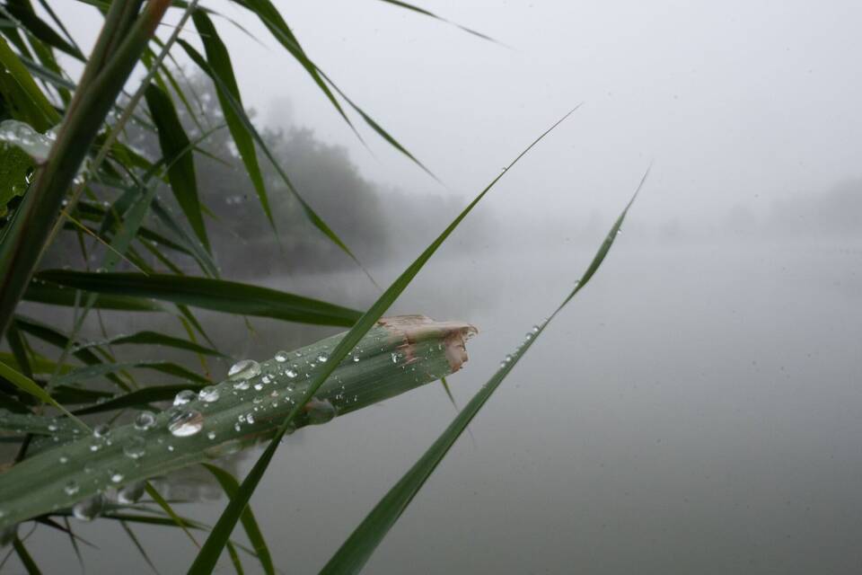 Wetter in Baden-Württemberg