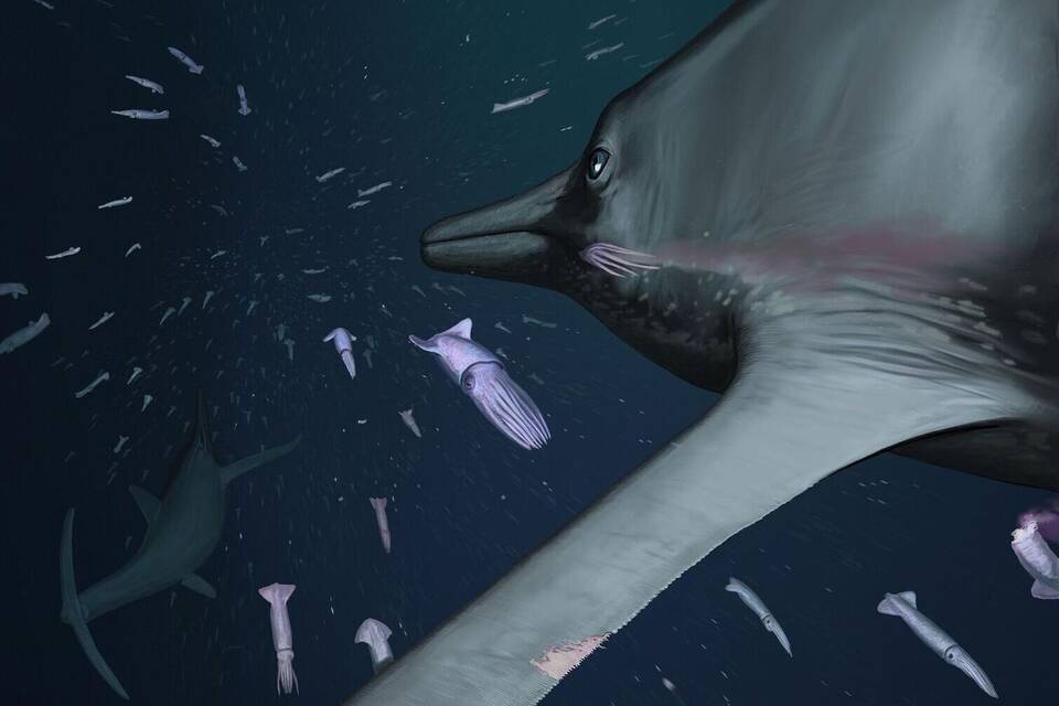 Fischsaurier Temnodontosaurus Fischsaurier Temnodontosaurus