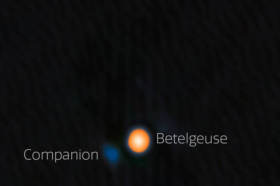 Wahrscheinlich Begleitstern von Beteigeuze entdeckt Wahrscheinlich Begleitstern von Beteigeuze entdeckt