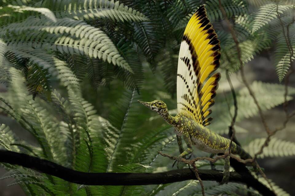 Hautauswüchse bei Ur-Reptil Hautauswüchse bei Ur-Reptil