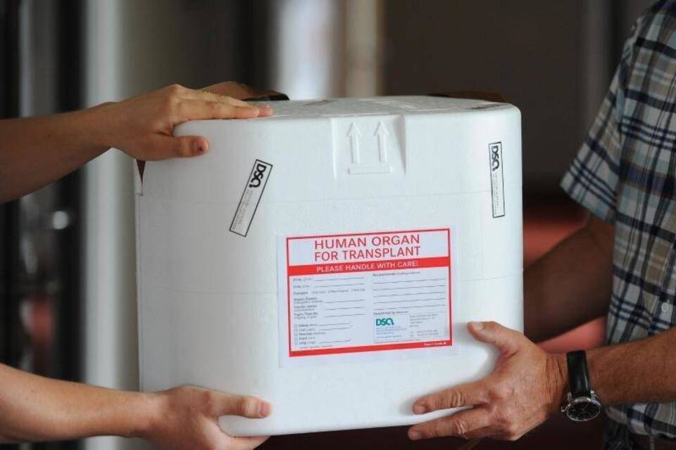 Organspende Organspende