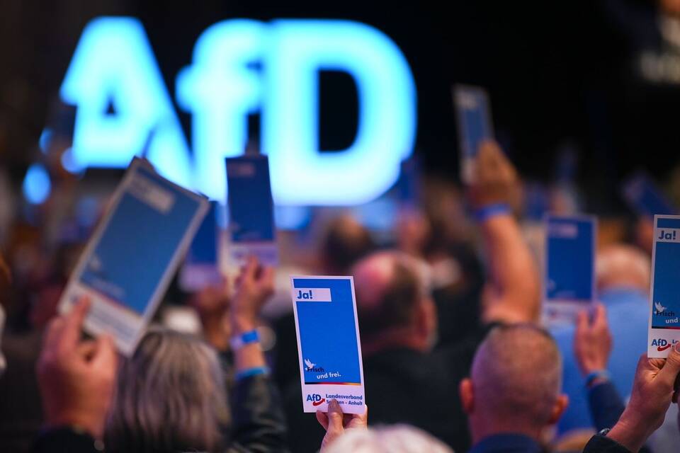 AfD AfD