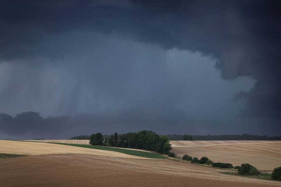 Gewitterwolken über Getreidefeldern