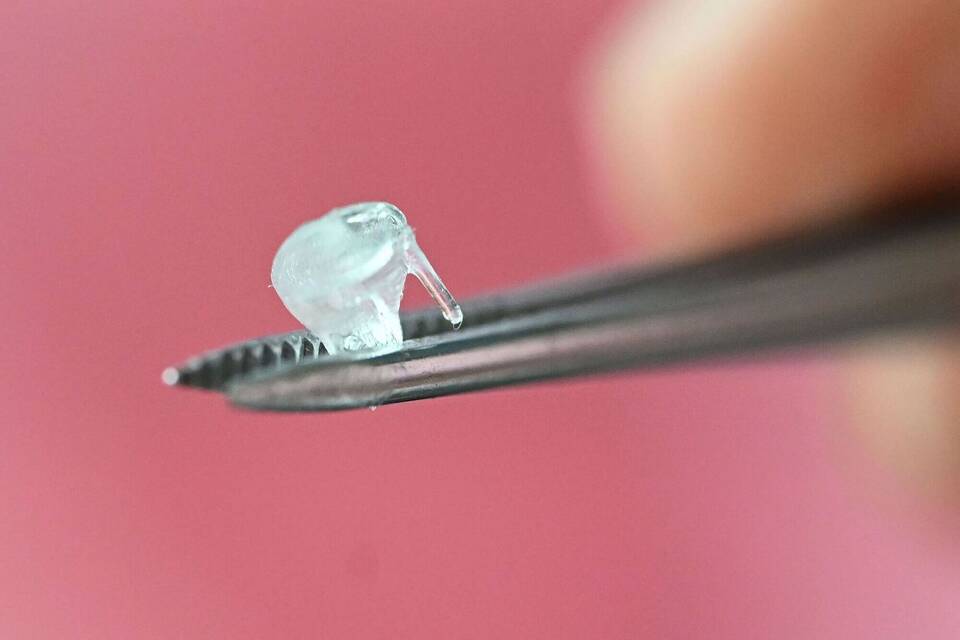 Bioprinting von Herzklappen