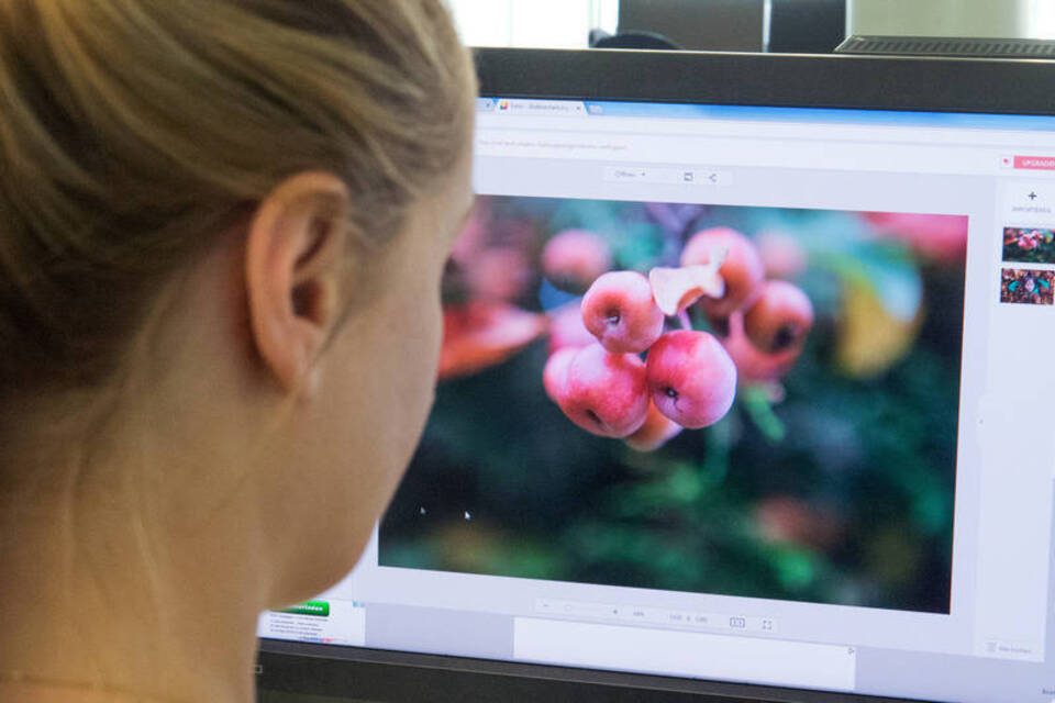 Browser statt teurer Software: Fotos online bearbeiten Browser statt teurer Software: Fotos online bearbeiten